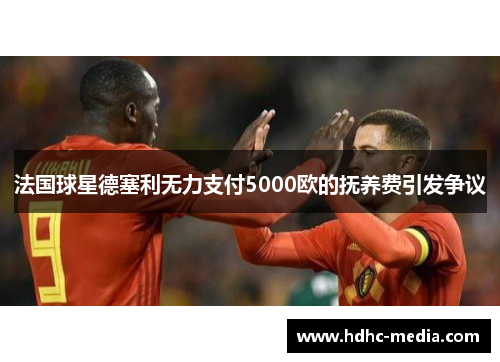 法国球星德塞利无力支付5000欧的抚养费引发争议